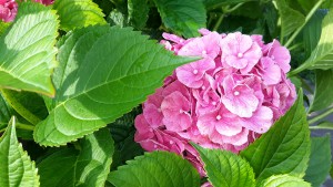20160728_181205