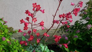 20160728_181750