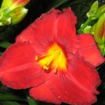 IMG_3149