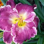 20160803_164008