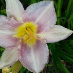 20160803_164418