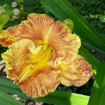 20160803_164501