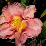 20160803_165529