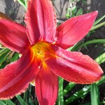 20160803_170407
