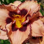 20180719_155624