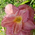 20180719_160203