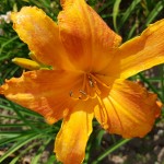20180719_160225