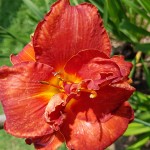 20180719_160558