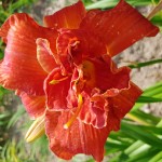 20180719_160711