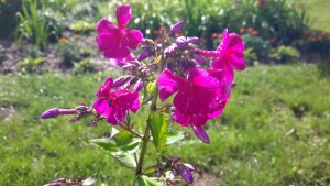 20160728_163950