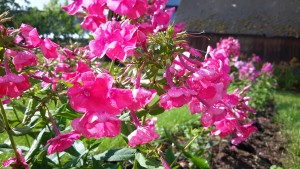20160728_164520