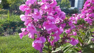 20160728_164850