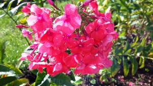 20160728_165324