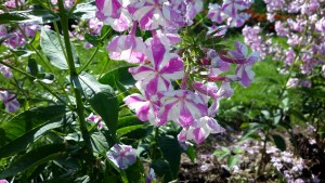 20160728_170020