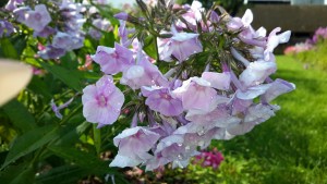 20160728_170248