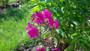 20160728_170622