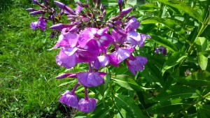 20160728_170700