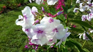 20160728_171406