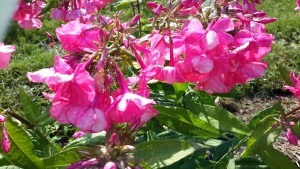 20160728_171544