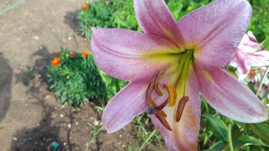 20160728_180116