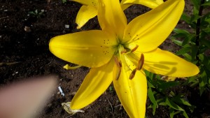 20160728_180303