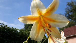20160728_180401