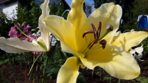 20160728_180601