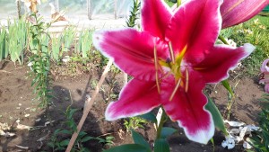 20160728_180739