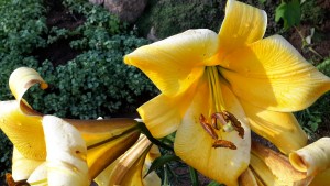 20160728_181027