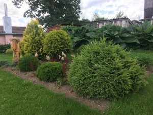09F61207-D356-4EF4-A3D2-BDBBA1E5E2FD