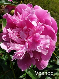 20190615_135057