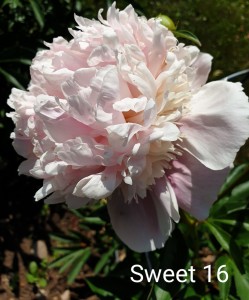 20190615_135126