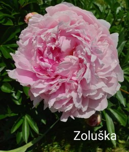 20190615_135208