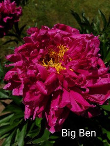 20190615_135540