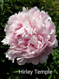 20190615_135810