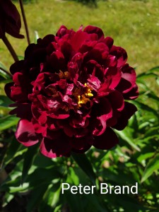 20190615_135849