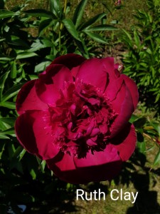 20190615_135927