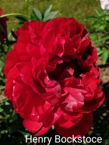 20190615_140340