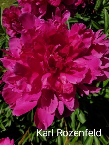 20190615_140524