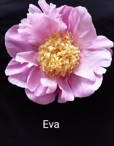 20190616_175814