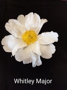 20190616_193300