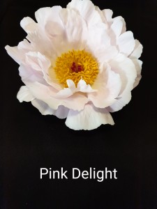 20190616_193346